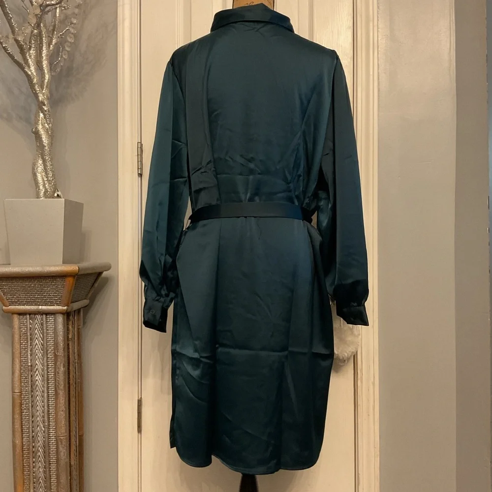 Satin Dress - Picture 5 of 7